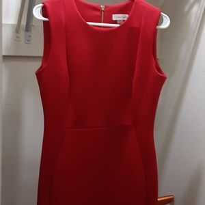 Calvin Klein Dress